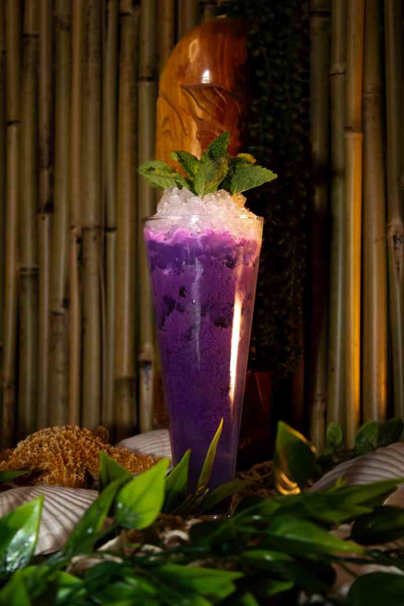 WhatsApp Image 2026-01-20 at 07.14.19