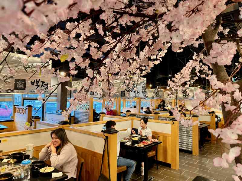 Baekjeong Korean BBQ House