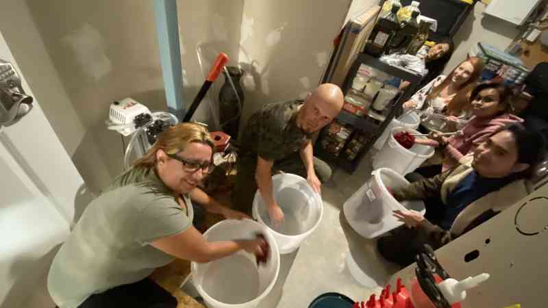 Wine Making