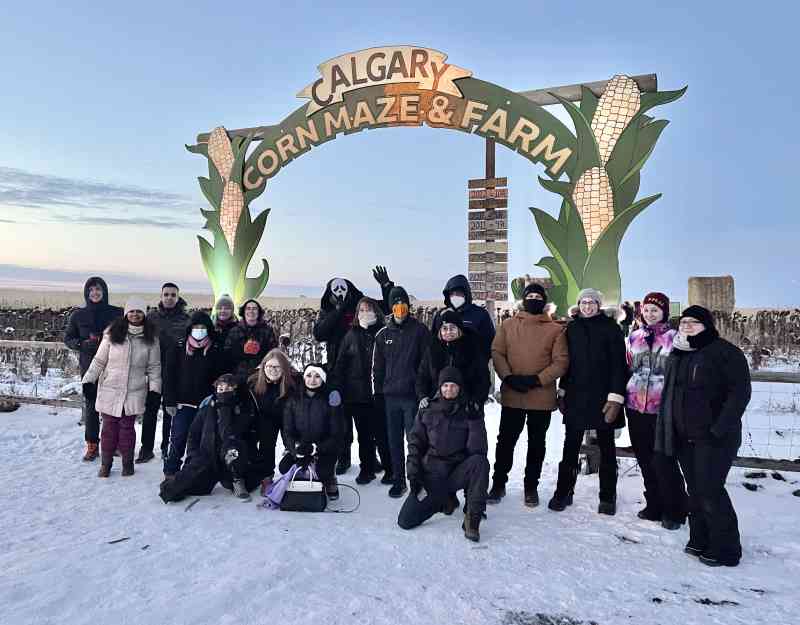 Harvest Lights @ Calgary Farmyard