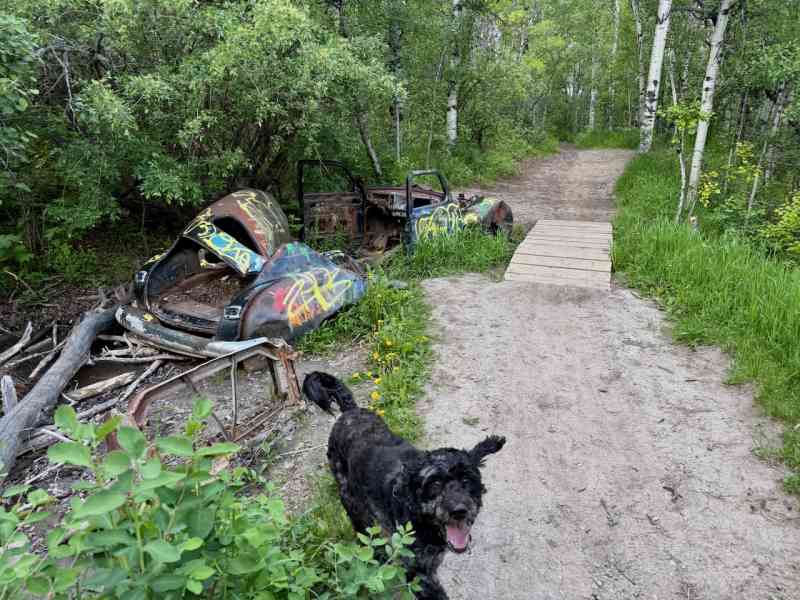 Paskapoo