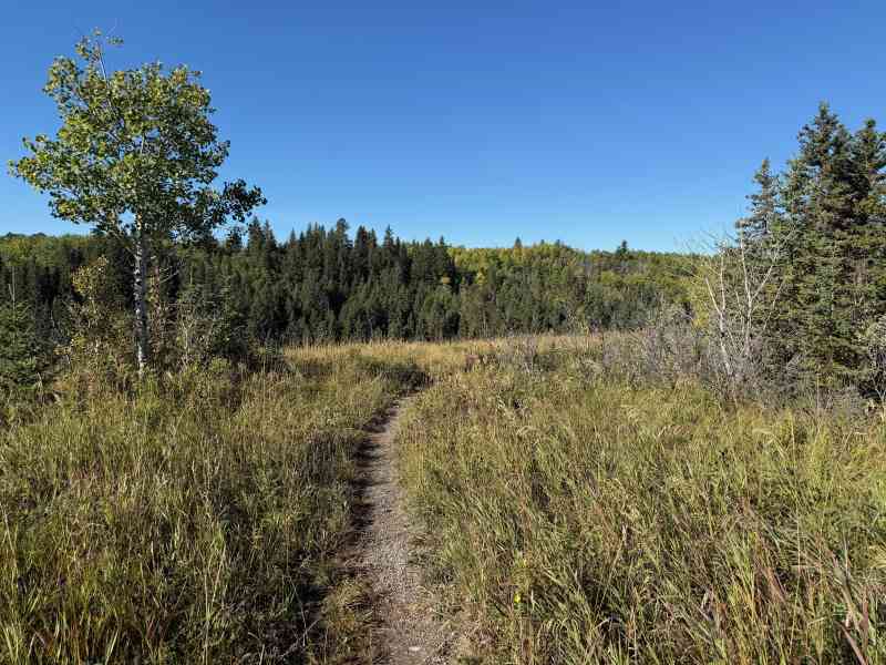 Crestmont Spring